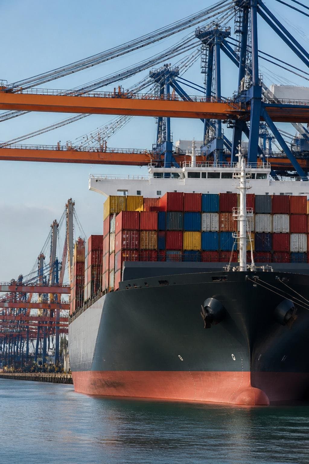 Export & Import